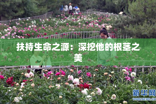 扶持生命之源：深挖他的根茎之美