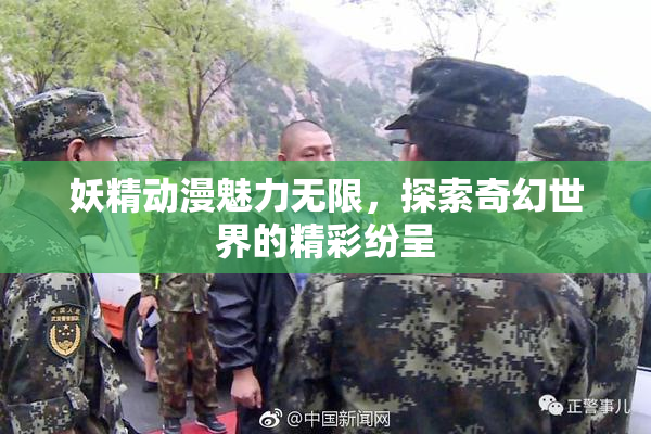 妖精动漫魅力无限，探索奇幻世界的精彩纷呈
