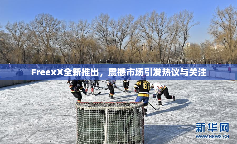 FreexX全新推出，震撼市场引发热议与关注