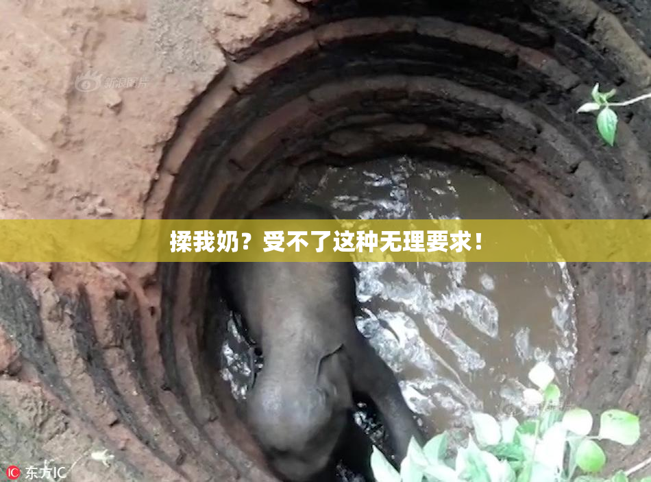 揉我奶？受不了这种无理要求！