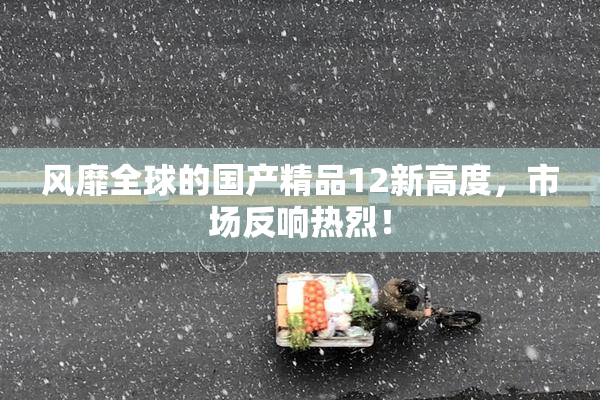 风靡全球的国产精品12新高度，市场反响热烈！