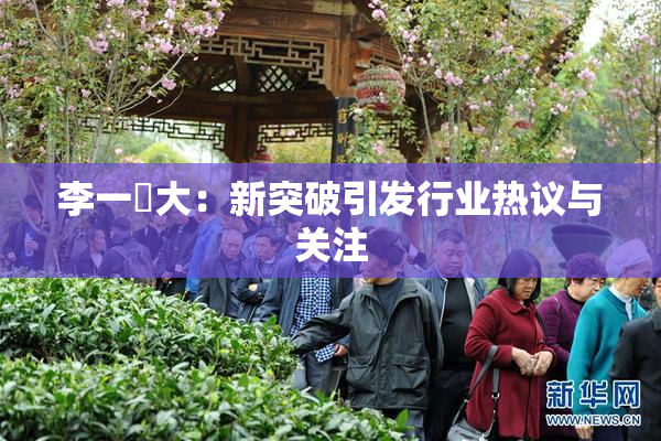 李一挏大：新突破引发行业热议与关注