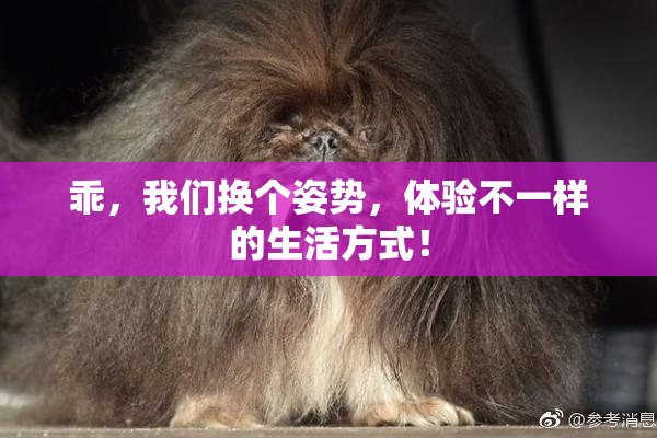 乖，我们换个姿势，体验不一样的生活方式！