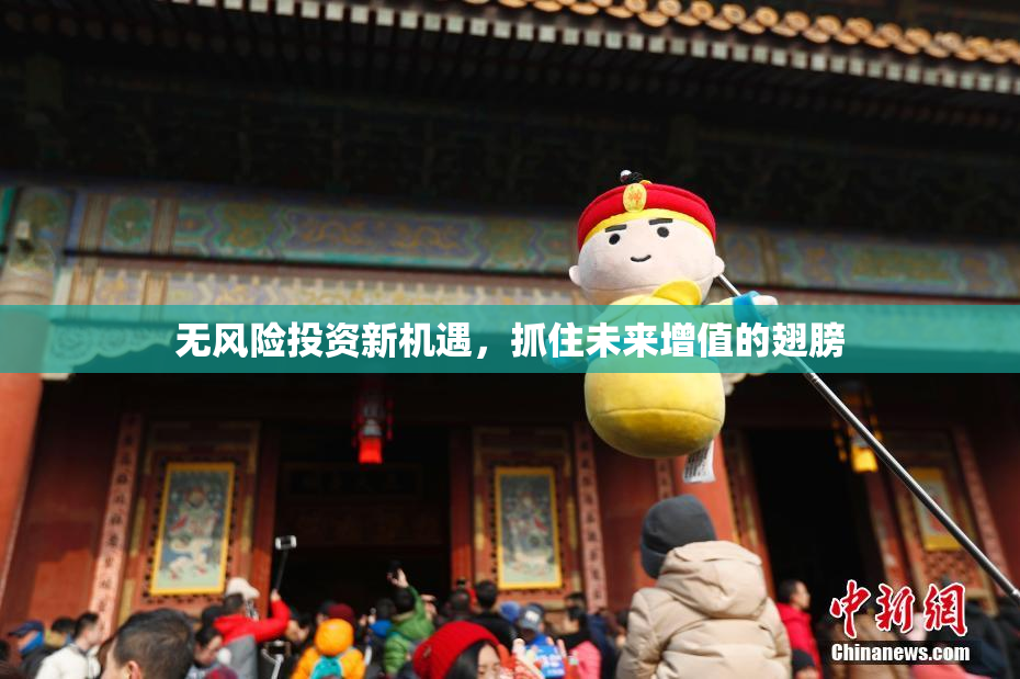 无风险投资新机遇，抓住未来增值的翅膀