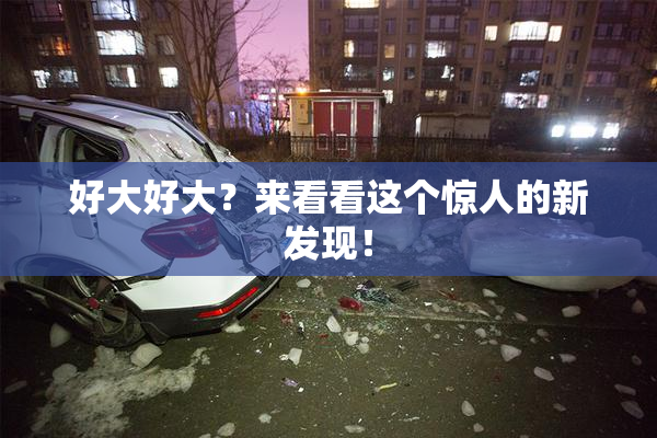 好大好大？来看看这个惊人的新发现！