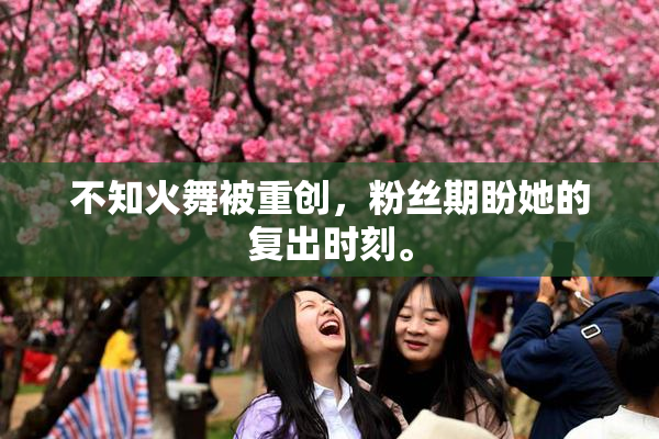 不知火舞被重创，粉丝期盼她的复出时刻。