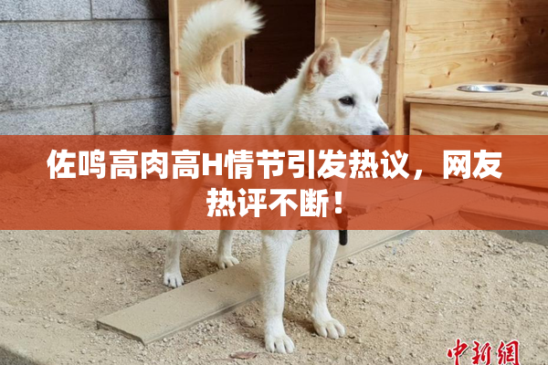 佐鸣高肉高H情节引发热议，网友热评不断！