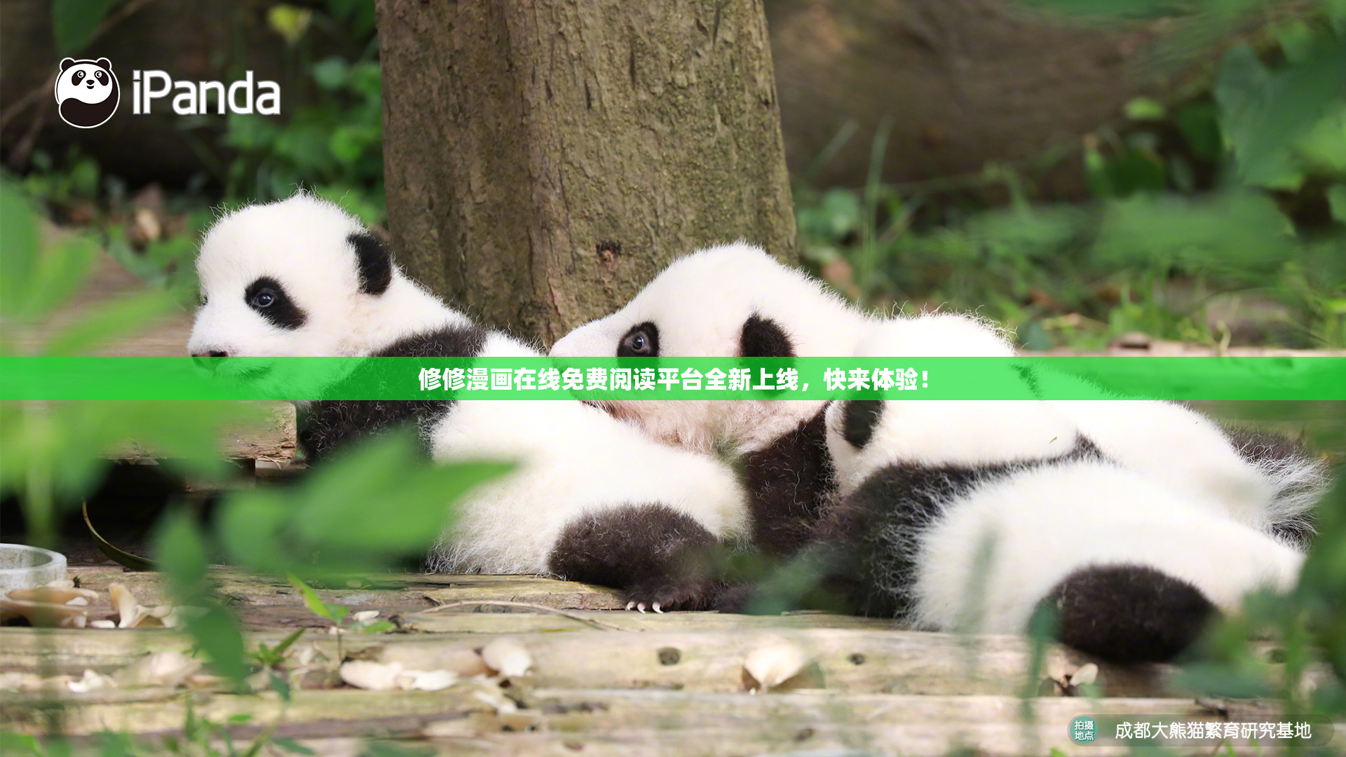修修漫画在线免费阅读平台全新上线，快来体验！