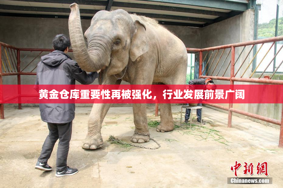 黄金仓库重要性再被强化，行业发展前景广阔