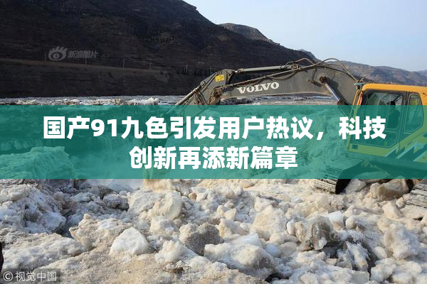国产91九色引发用户热议，科技创新再添新篇章
