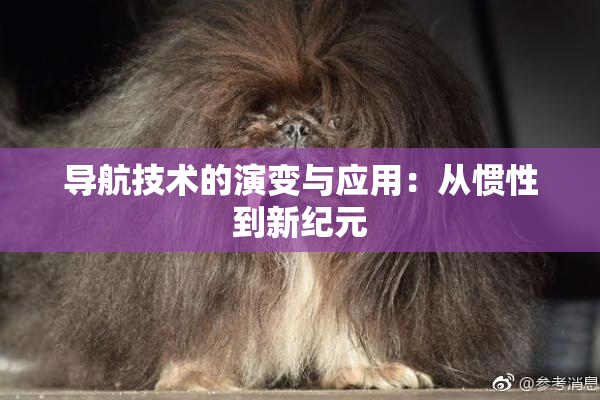 导航技术的演变与应用：从惯性到新纪元