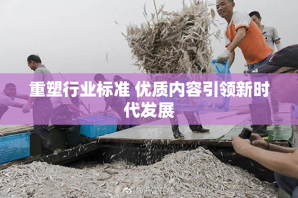 重塑行业标准 优质内容引领新时代发展