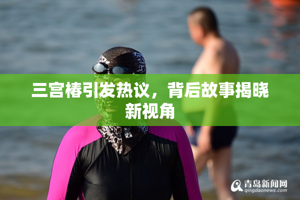 三宫椿引发热议，背后故事揭晓新视角