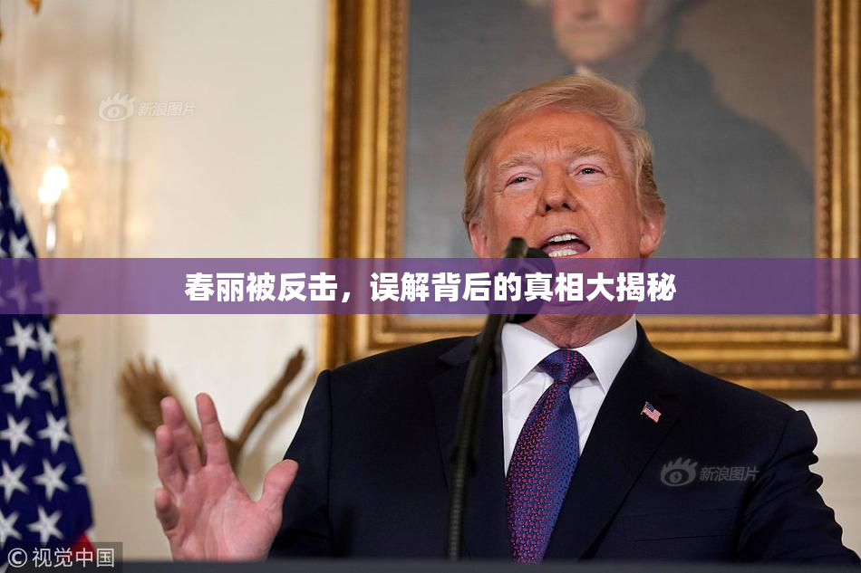 春丽被反击，误解背后的真相大揭秘