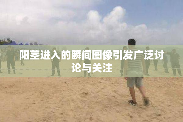阳茎进入的瞬间图像引发广泛讨论与关注