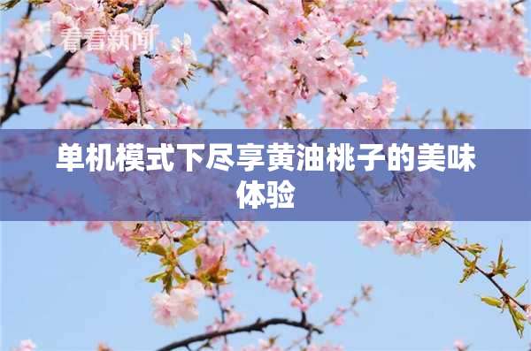 单机模式下尽享黄油桃子的美味体验