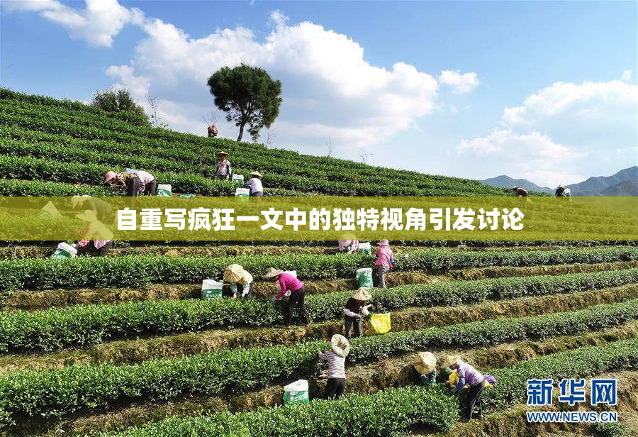 自重写疯狂一文中的独特视角引发讨论