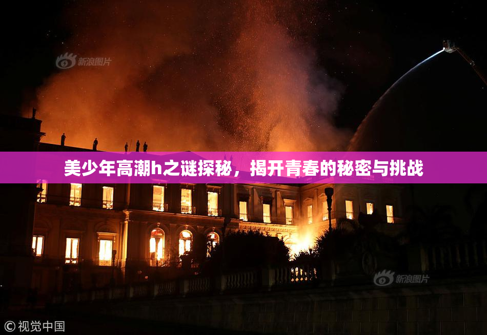 美少年高潮h之谜探秘，揭开青春的秘密与挑战