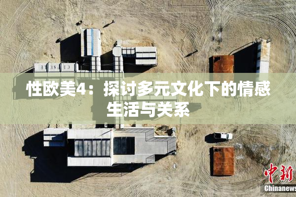 性欧美4：探讨多元文化下的情感生活与关系