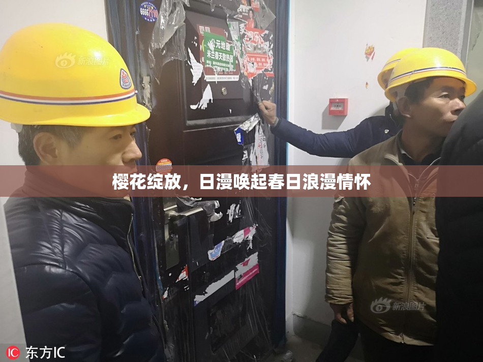 樱花绽放，日漫唤起春日浪漫情怀