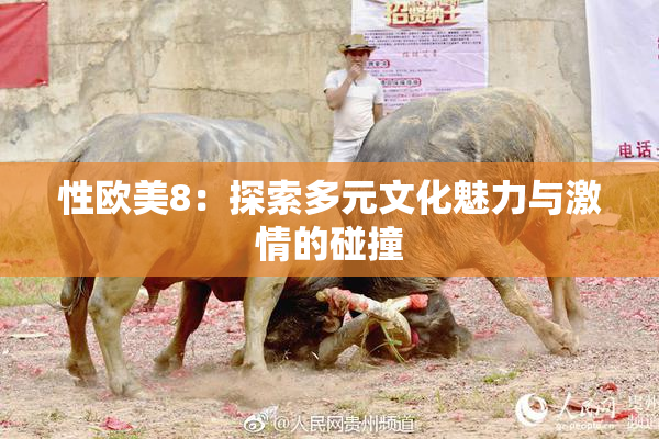 性欧美8：探索多元文化魅力与激情的碰撞