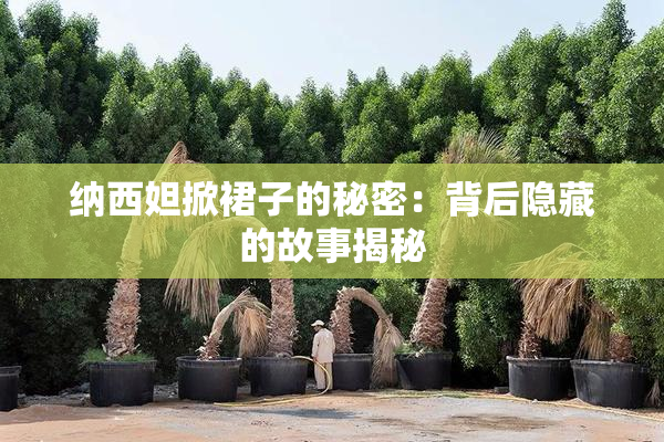 纳西妲掀裙子的秘密：背后隐藏的故事揭秘