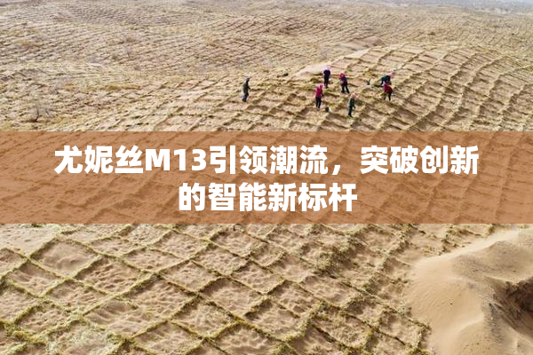 尤妮丝M13引领潮流，突破创新的智能新标杆