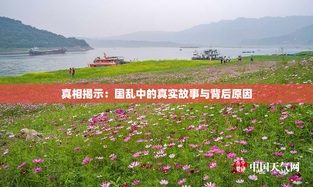 真相揭示：国乱中的真实故事与背后原因