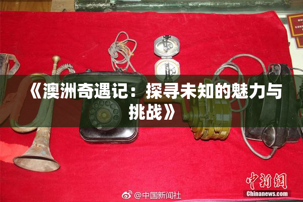 《澳洲奇遇记：探寻未知的魅力与挑战》