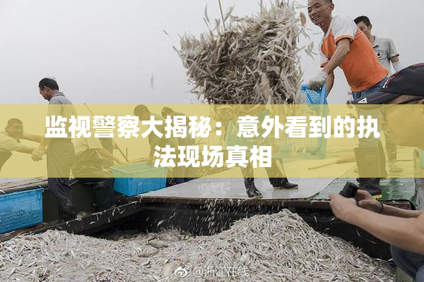 监视警察大揭秘：意外看到的执法现场真相