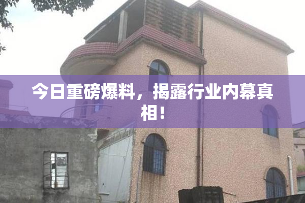今日重磅爆料，揭露行业内幕真相！