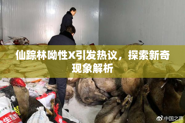 仙踪林呦性X引发热议，探索新奇现象解析