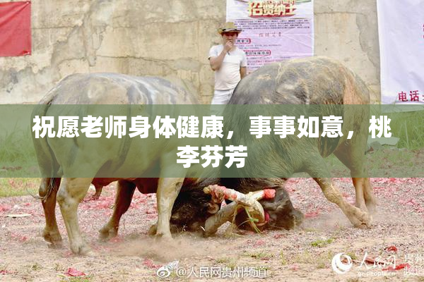 祝愿老师身体健康，事事如意，桃李芬芳