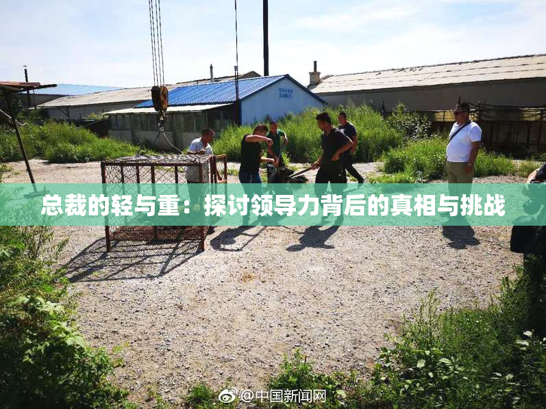 总裁的轻与重：探讨领导力背后的真相与挑战