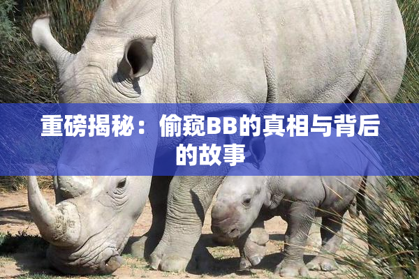 重磅揭秘：偷窥BB的真相与背后的故事