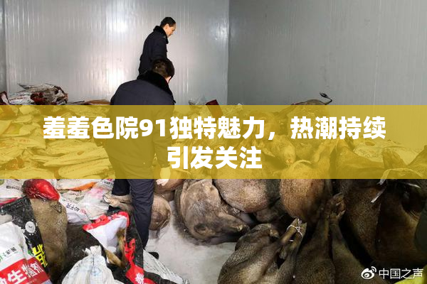 羞羞色院91独特魅力，热潮持续引发关注