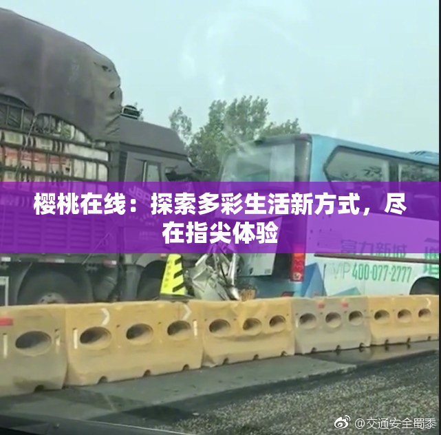 樱桃在线：探索多彩生活新方式，尽在指尖体验