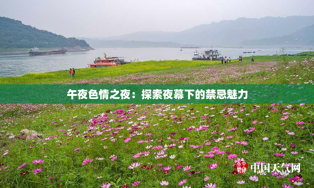 午夜色情之夜：探索夜幕下的禁忌魅力