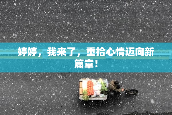 婷婷，我来了，重拾心情迈向新篇章！