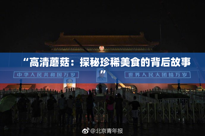 “高清蘑菇：探秘珍稀美食的背后故事”