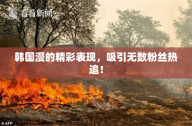韩国漫的精彩表现，吸引无数粉丝热追！