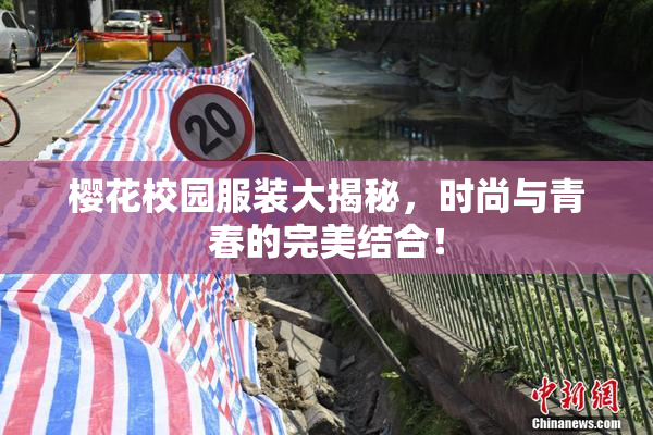 樱花校园服装大揭秘，时尚与青春的完美结合！