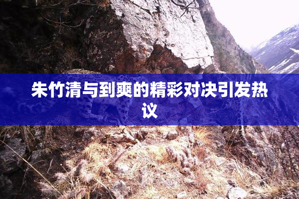 朱竹清与到爽的精彩对决引发热议