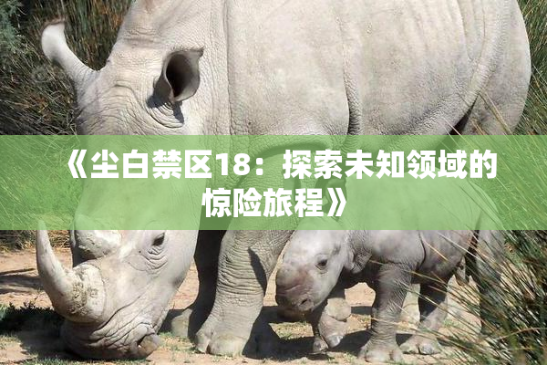 《尘白禁区18：探索未知领域的惊险旅程》