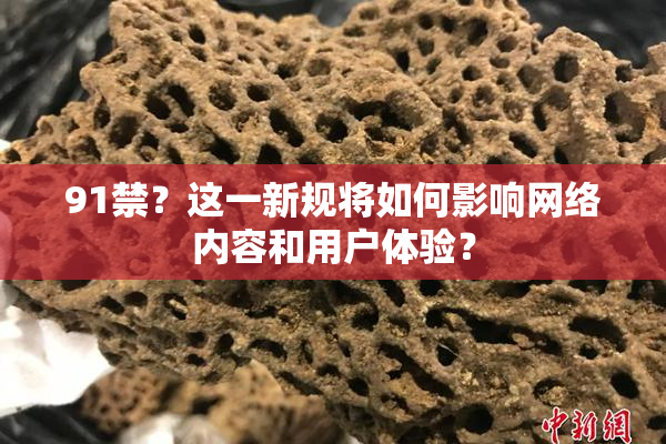 91禁？这一新规将如何影响网络内容和用户体验？