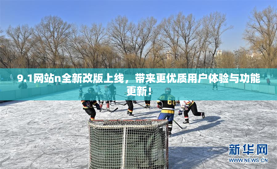9.1网站n全新改版上线，带来更优质用户体验与功能更新！
