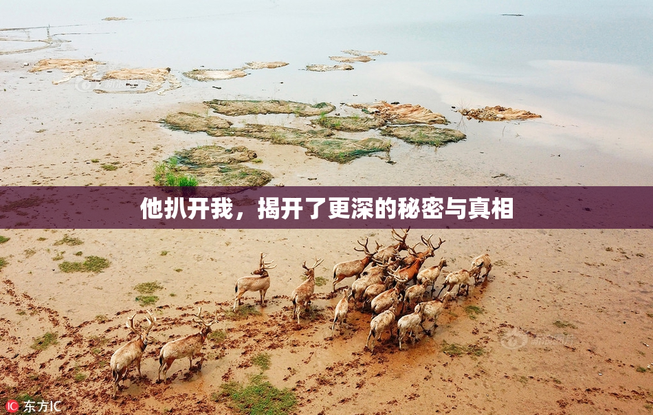 他扒开我，揭开了更深的秘密与真相