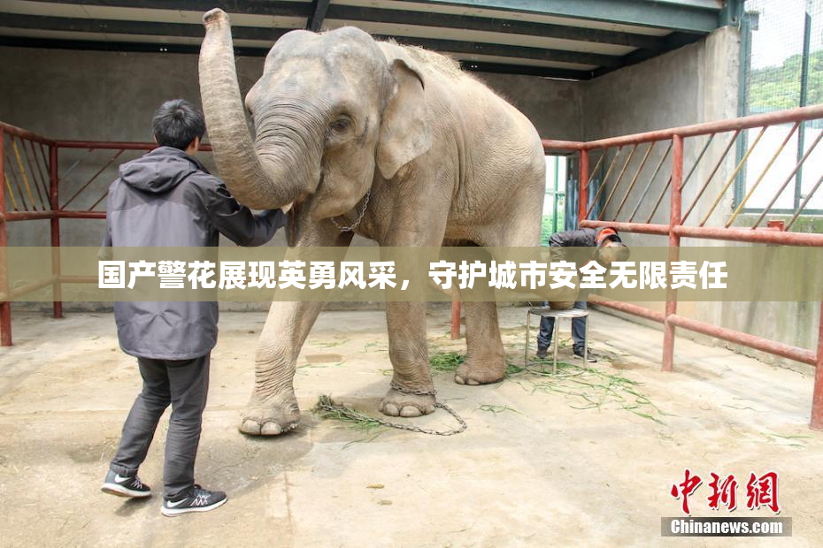 国产警花展现英勇风采，守护城市安全无限责任