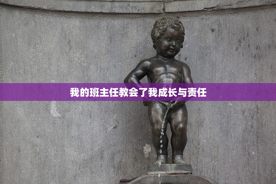 我的班主任教会了我成长与责任
