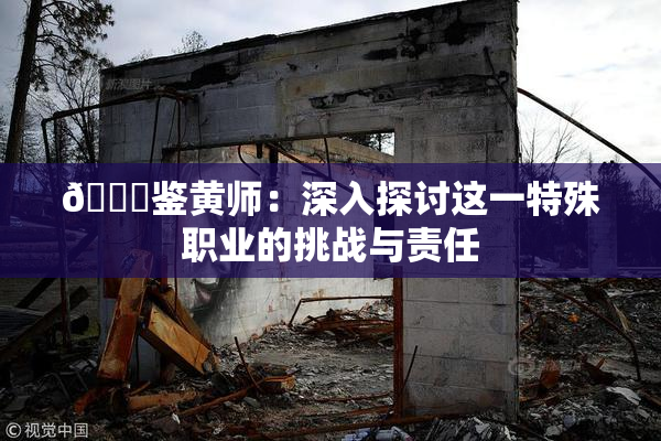 🔞鉴黄师：深入探讨这一特殊职业的挑战与责任